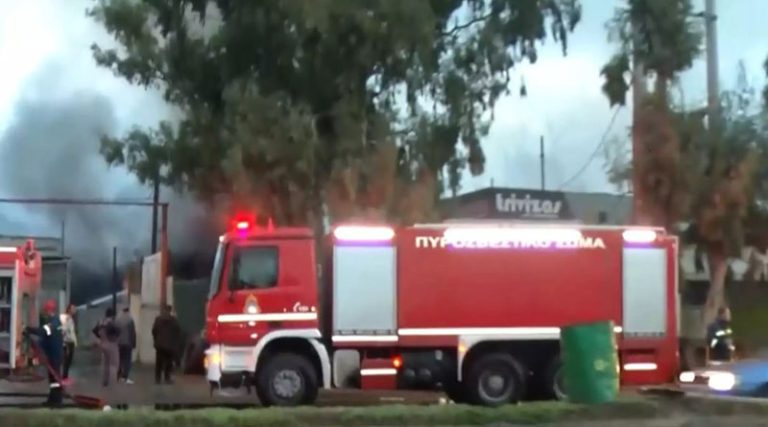 Νύχτα επεισοδίων με Ρομά να βάζουν φωτιές σε Ασπρόπυργο και Άνω Λιόσια – Έκαψαν κατάστημα ελαστικών και λεωφορείο