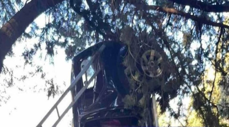 Απίστευτο τροχαίο! Αυτοκίνητο «κρεμάστηκε» από δέντρο- Από θαύμα σώθηκε η οδηγός! (φωτό)