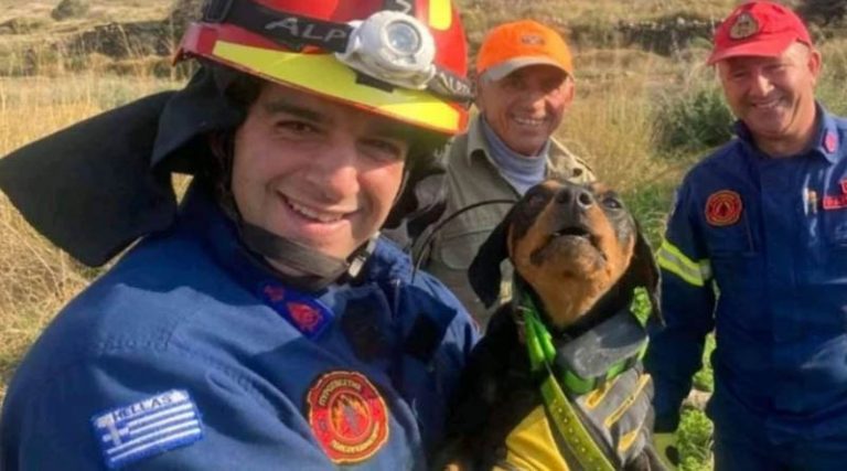 Πυροσβέστες απεγκλώβισαν σκυλίτσα που έπεσε σε πηγάδι! (φωτό)