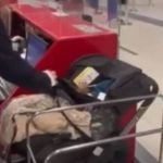 Απίστευτο περιστατικό: Άφησαν το μωρό τουε στο γκισέ του αεροδρομίου και έφυγαν να προλάβουν την πτήση! (βίντεο)
