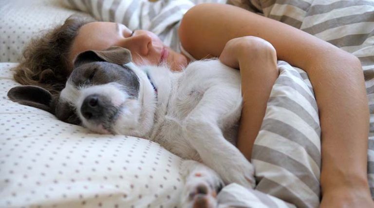 Πόσα κερδίζουν όσοι κοιμούνται αγκαλιά με τον σκύλο τους