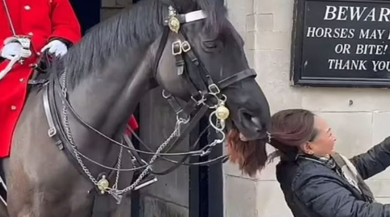 Τα “πήρε”  το άλογο της βασιλικής φρουράς – Η στιγμή που δάγκωσε τουρίστρια! (βίντεο)
