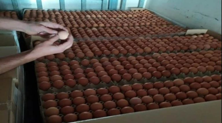 «Μπλόκο» σε 302.000 αυγά Βουλγαρίας χωρίς σήμανση – Που θα κατέληγαν