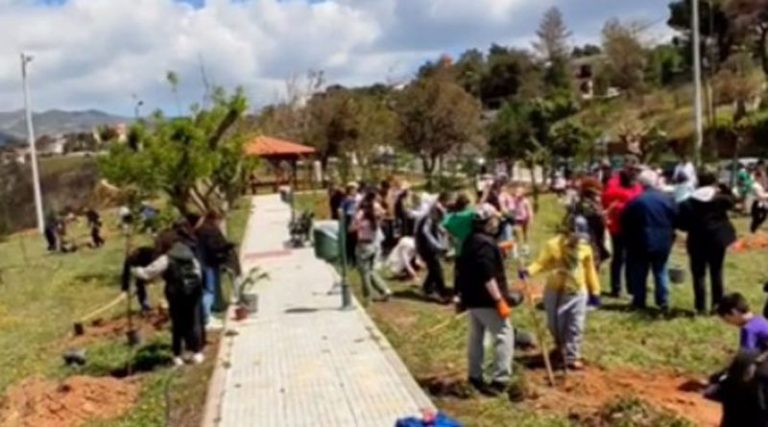 Δήμος Παλλήνης: Το Πάρκο της Ανθούσας μετατρέπεται σε άλσος – Φυτευτήκαν 2.000 δέντρα! (βίντεο)