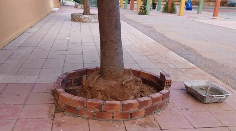 Δήμος Μαραθώνα: Ολοκληρώθηκε η επένδυση του δέντρου στο Α’ Δημοτικό Σχολείο Νέας Μάκρης (φωτό)