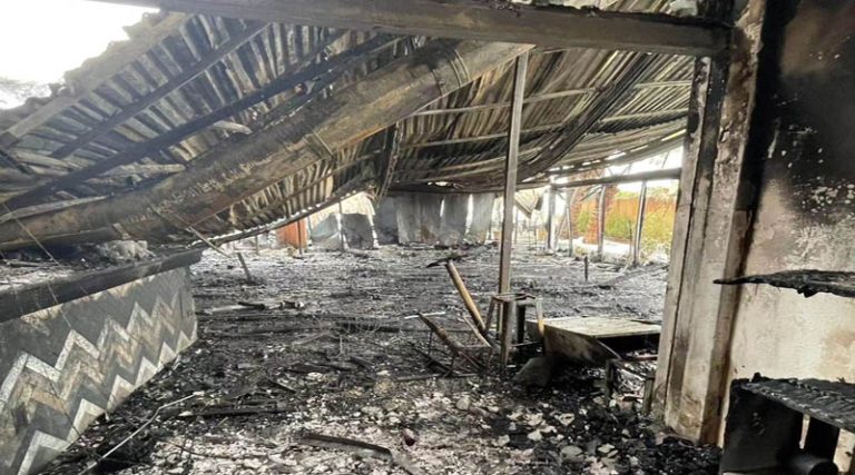Αρτέμιδα: Η έκκληση από το Φιλοζωικό Σωματείο, μετά την φωτιά σε γνωστή καφετέρια