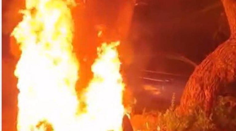 Αρτέμιδα: Συναγερμός για φωτιά σε κάδους απορριμμάτων!  (φωτό & βίντεο)