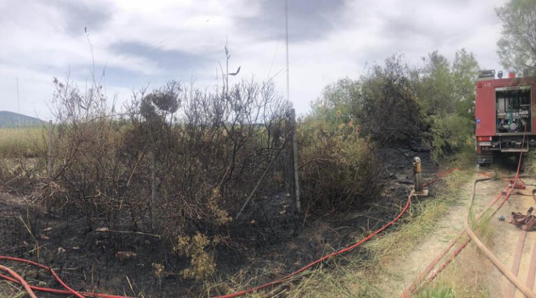 Μαραθώνας: Οι πρώτες εικόνες από την φωτιά στον Σχινιά (φωτό)
