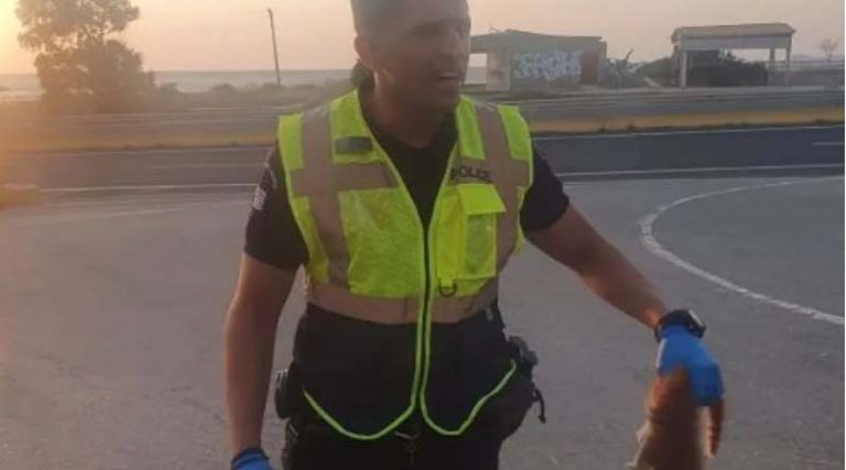 Αστυνομικός έσωσε γατάκι πριν το πατήσουν  σε αυτοκινητόδρομο της Κρήτης, αλλά εκείνο τον δάγκωσε! (φωτό)