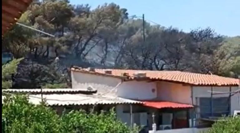 “Έγλυψαν” τα σπίτια οι φλόγες στην Αρτέμιδα! (βίντεο)