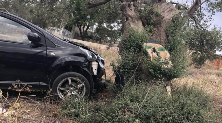 Αρτέμιδα: Αυτοκίνητο “καρφώθηκε” σε ελιά! (φωτό)