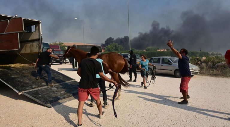 Φωτιά σε Κουβαρά, Λαγονήσι και Λουτράκι: Μάχη με τις φλόγες – Κάηκαν σπίτια και αυτοκίνητα, εκκενώθηκαν οικισμοί