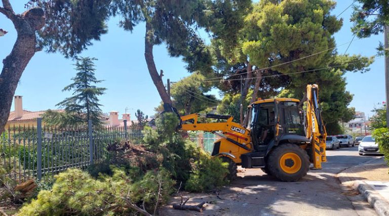 Ραφήνα: Άμεση επέμβαση του Δήμου & της Πολιτικής Προστασίας για το τεράστιο κλαδί δέντρου που έσπασε στην οδό Κυπρίων Αγωνιστών