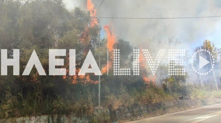 Φωτιά στην Ηλεία σε 4 μέτωπα!  Σε Παλαιοβαρβάσαινα, Αρχαία Ολυμπία και Πύργο- Μήνυμα από το 112
