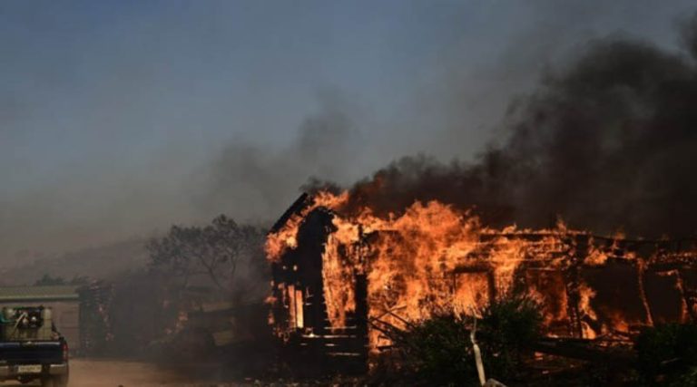 Λαγονήσι: Θλίψη και οργή! Κάηκε ολοσχερώς το καταφύγιο Fazoo Farm – Γλίτωσαν ελάχιστα ζώα