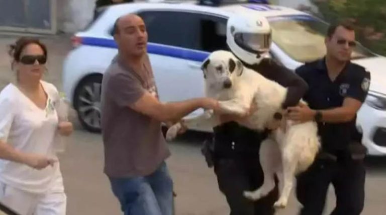 Φωτιά στη Μάνδρα: Η συγκινητική στιγμή που αστυνομικοί μεταφέρουν τρομοκρατημένο σκυλί