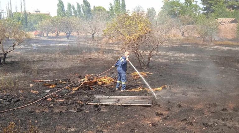 Νέες εικόνες από τη φωτιά στο Μαρκόπουλο – Άμεση η επέμβαση της Πυροσβεστικής