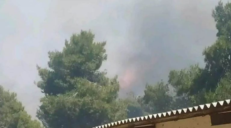 Ωρωπός: Βελτιωμένη εικόνα από την πυρκαγιά στο Μαρκόπουλο