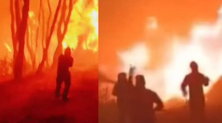 Ρόδος: Τρομάζει η πρόβλεψη από στέλεχος της Πυροσβεστικής – «Η φωτιά θα μας απασχολεί για ακόμη επτά μέρες»