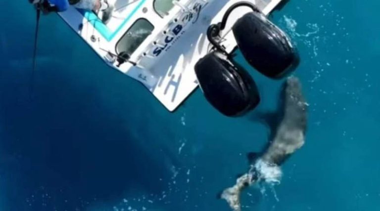 Λυσσαλέα επίθεση καρχαρία σε αλιευτικό σκάφος – Το εμβόλισε και προκάλεσε ζημιά στον κινητήρα! (βίντεο)