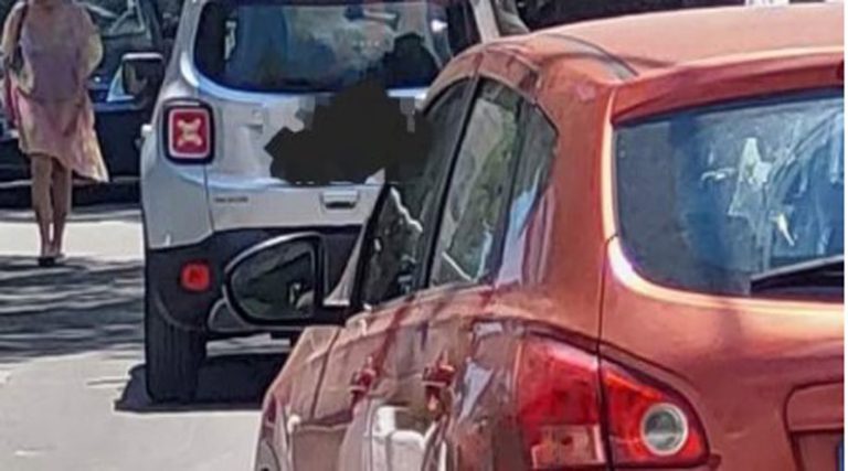 Νέα Μάκρη: Χαμός με τα παρκαρισμένα αυτοκίνητα σε Ζούμπερι, Λ. Μαραθώνος & Λ. Διονύσου! (φωτό)