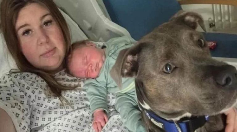 Νοσοκομείο επέτρεψε για πρώτη φορά σκύλο σε τοκετό! (φωτό)