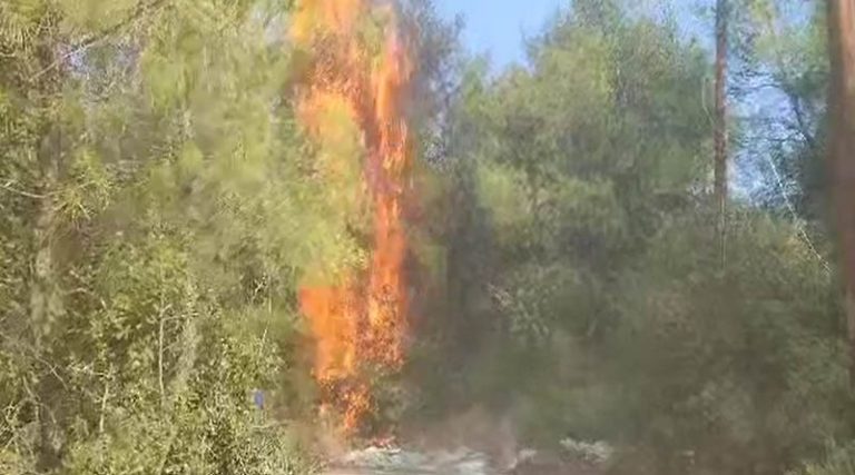 Eμπρησμούς καταγγέλλει δημοτικός σύμβουλος στην Αυλώνα – Εφτά φωτιές μέσα σε μια ώρα! (φωτό)