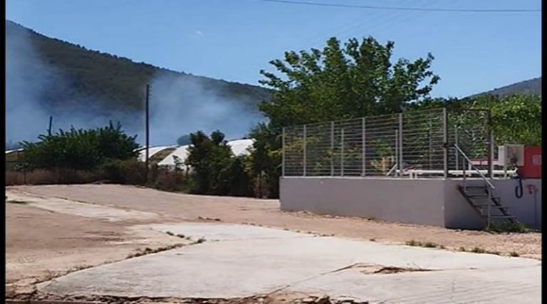 Μαραθώνας: Συναγερμός για φωτιά σε οικόπεδο στον Βρανά (φωτό & βίντεο)