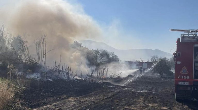 Μαραθώνας: Έσβησε η φωτιά στον Βρανά (φωτό)