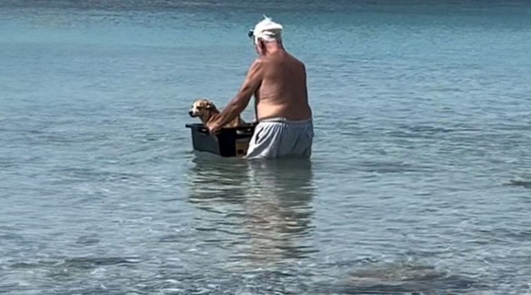 Viral ο ηλικιωμένος που κάνει… βαρκάδα τον σκύλο του (βίντεο)