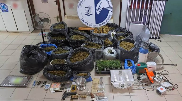 Πάνω από 90 κιλά κάνναβης και 385 φυτά κατέσχεσαν οι Αστυνομικοί σε Κερατέα και Καλύβια! (φωτό & βίντεο)