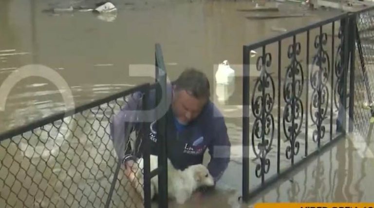 Κακοκαιρία Elias: Η στιγμή που πρόεδρος χωριού απεγκλωβίζει σκυλάκι που έχει πιαστεί σε εξώπορτα (βίντεο)
