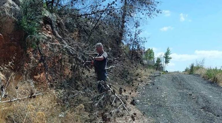 Άμεσες οι επεμβάσεις της Πολιτικής Προστασίας Ραφήνας Πικερμίου για πτώσεις δέντρων (φωτό)