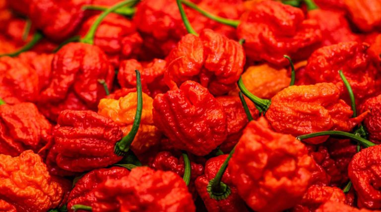 Έφαγε 50 από τις πιο καυτερές πιπεριές στον κόσμο σε λιγότερο από 7 λεπτά