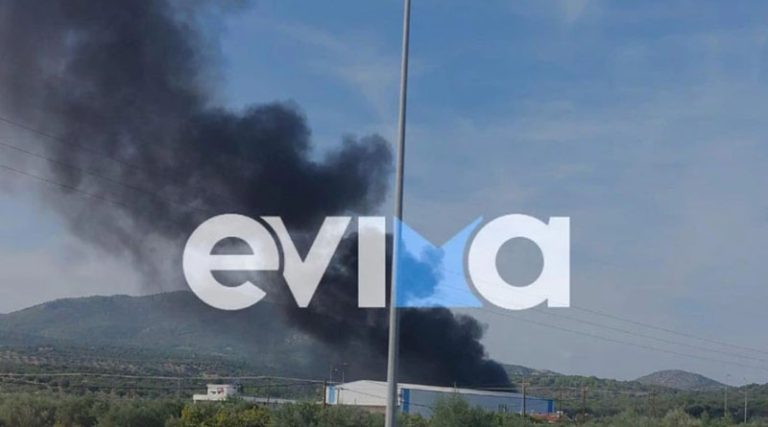 Μεγάλη φωτιά τώρα σε εργοστάσιο στην Εύβοια (φωτό)