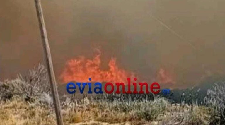 Φωτιά τώρα στην Κάρυστο – Απειλεί οικισμό! (βίντεο)
