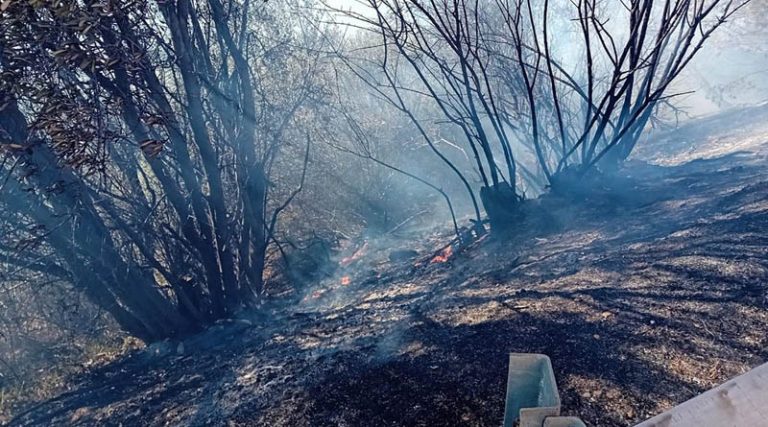 Μαραθώνας: Οι πρώτες εικόνες από την φωτιά στο Καλέντζι (φωτό)