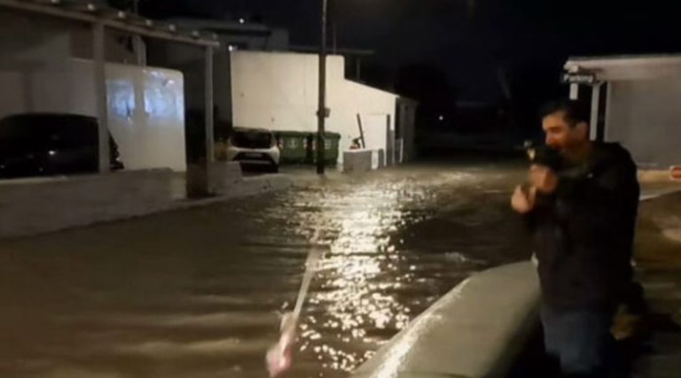 Ψάρεψε καλαμάρι σε πλημμυρισμένο δρόμο στη Μύκονο! (βίντεο)