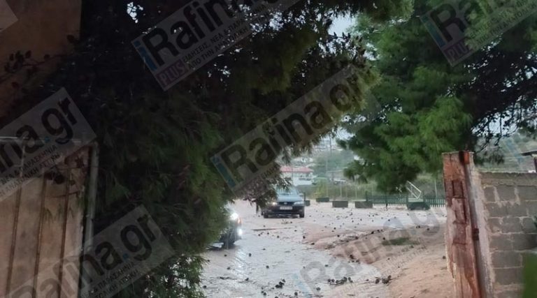 Έντονη βροχόπτωση στη Ραφήνα – Έπεσε δέντρο στη Διασταύρωση (φωτό & βίντεο)
