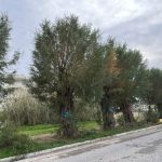 Ραφήνα: Ξεκινούν τα έργα στο Μεγάλο Ρέμα στην οδό  Ευβοϊκού – Πότε θα κλείσει ο δρόμος