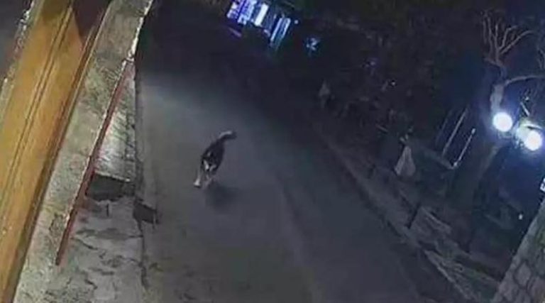 Αράχωβα: Φωτογραφίες ντοκουμέντο με άνδρα σε απόσταση αναπνοής από τον Όλιβερ το βράδυ της επίθεσης