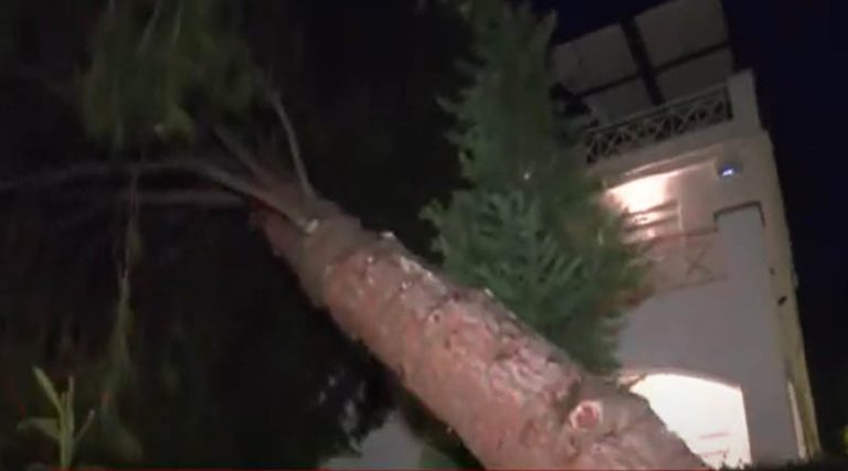 Ισχυρό μπουρίνι σάρωσε την Αττική – Έπεσαν δέντρα (φωτό & βίντεο)