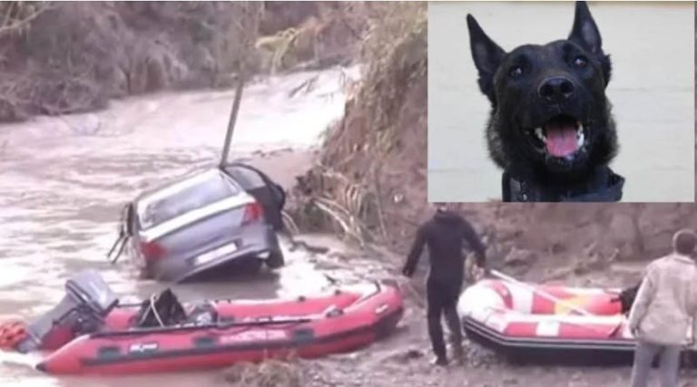 Ο σκύλος που βρήκε τον Μπάμπη θα ψάξει για τον 45χρονο που παρασύρθηκε από χείμαρρο