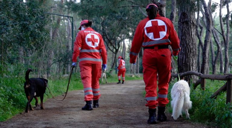 Πώς θα σώσουμε τον σκύλο μας; – Ανάρπαστο το σεμινάριο πρώτων βοηθειών του Ερυθρού Σταυρού