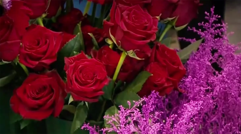 Πανάκριβα τα λουλούδια – Βάζουν «νάρκη» στη γιορτή των ερωτευμένων