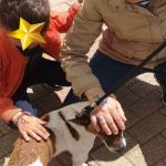 Γιορτή φιλοζωίας για τα αδέσποτα ζώα στη Ραφήνα (φωτό)