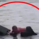 Λιμενικοί έσωσαν ηλικιωμένη που έπεσε στη θάλασσα για να πιάσει την βαλίτσα της! (βίντεο)