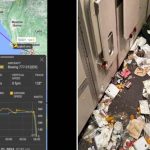 Σοκάρουν οι περιγραφές επιβατών από την πτήση Λονδίνο – Σιγκαπούρη με έναν νεκρό! (βίντεο)